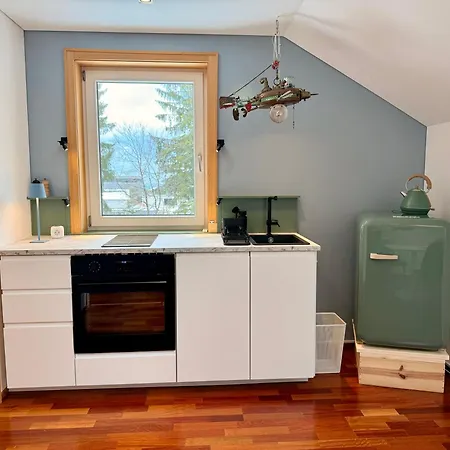 123 Dachterrassen-wohnung Im Kuenstlerhaus - Naehe Bodensee *