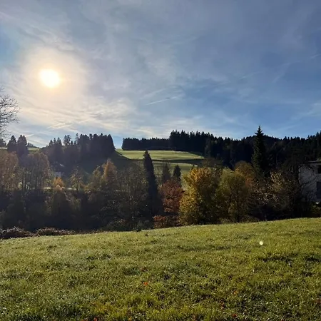 123 Dachterrassen-wohnung Im Kuenstlerhaus - Naehe Bodensee
