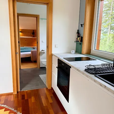 123 Dachterrassen-wohnung Im Kuenstlerhaus - Naehe Bodensee Apartment *