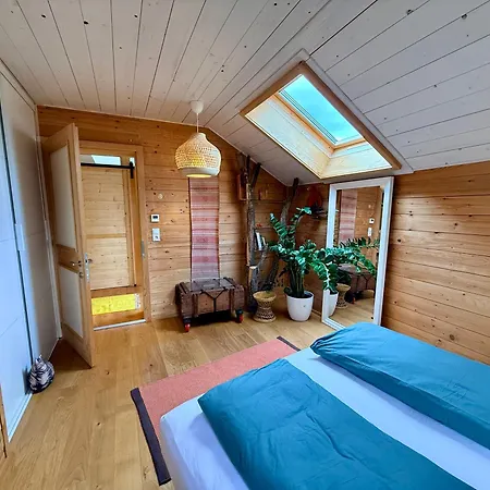 123 Dachterrassen-wohnung Im Kuenstlerhaus - Naehe Bodensee *