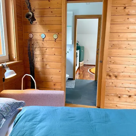 Apartment 123 Dachterrassen-wohnung Im Kuenstlerhaus - Naehe Bodensee
