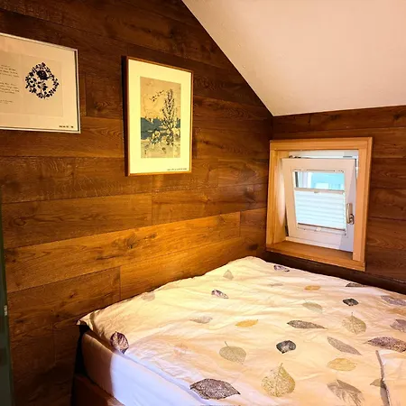 123 Dachterrassen-wohnung Im Kuenstlerhaus - Naehe Bodensee Apartment