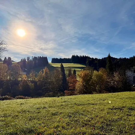 123 Dachterrassen-wohnung Im Kuenstlerhaus - Naehe Bodensee *